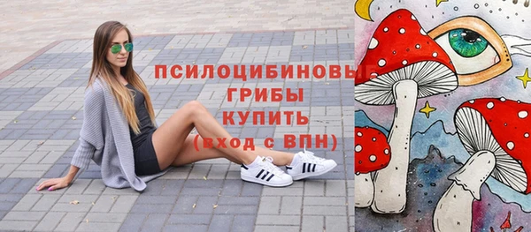гашик Абаза